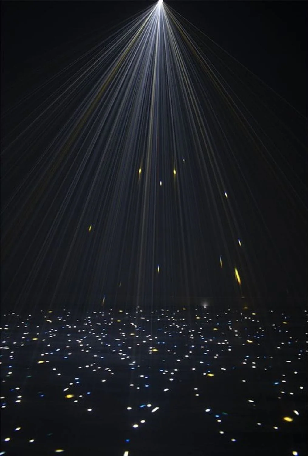 Eliminator COS100 Cosmic Burst High-Powered 10-Watt Laser Moonflower Effect - Image 5